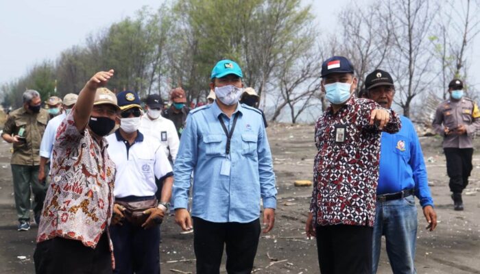 Hebat, Brebes Bakal Jadi Pusat Pembibitan dan Pengembangan Mangrove Skala Besar