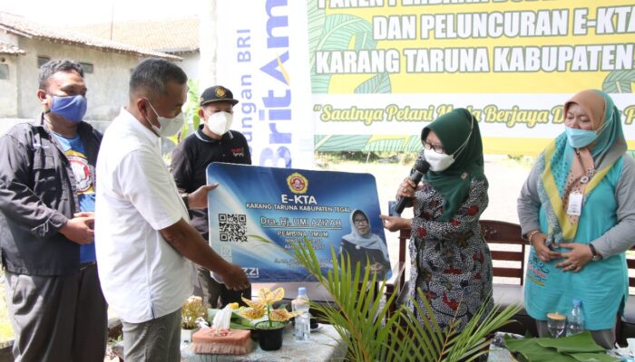 Karang Taruna Kabupaten Tegal Gandeng BRI Terbitkan E-KTA