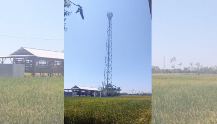 Tower BTS di Desa Pacul Tak Berizin, Warga Lapor ke Satpol PP