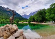 Berikut Cara Mengoptimalkan Fitur HDR pada Kamera iPhone 11 Pro