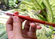 Pensil Alis Fanbo Incaran MUA Tegal: Natural dan tetap On Fleek