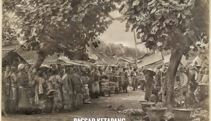 Potret Passar Ketapang Tahun 1882, Tegal Bagian Selatan