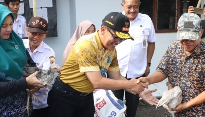 Entaskan Kemiskinan Esktrem, Pemkab Brebes Serahkan Bantuan Ayam Kampung Unggul