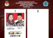 Hasil Real Count Pilkada Kabupaten Brebes 2024 Resmi KPU, Klik Link Disini