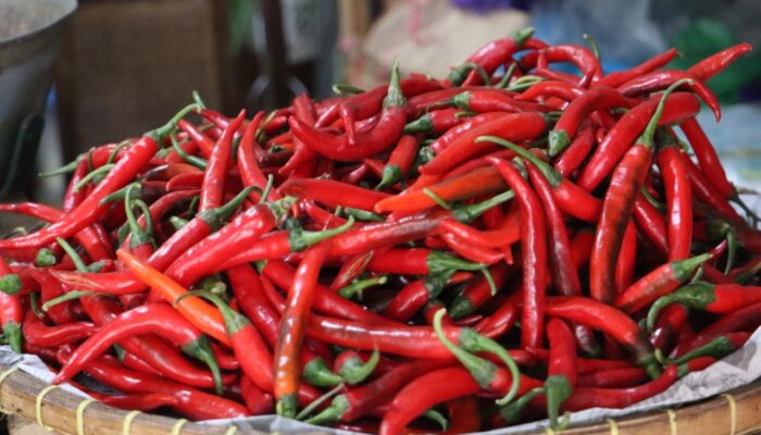 Awal Tahun 2025, Harga Cabai di Kota Pekalongan Alami Kenaikan Signifikan