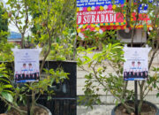 Bukan Karangan Bunga, PDM Kabupaten Tegal Kirim Bibit Sawo untuk Bupati – Ada Makna Tersembunyi di Baliknya!