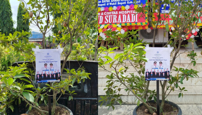 Bukan Karangan Bunga, PDM Kabupaten Tegal Kirim Bibit Sawo untuk Bupati – Ada Makna Tersembunyi di Baliknya!