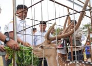 Gratis Masuk Lokawisata Sabin Garden Kambangan, Punya Koleksi Binatang