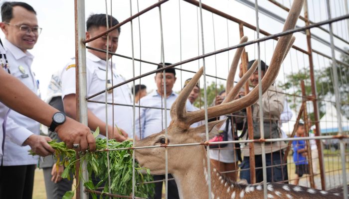 Gratis Masuk Lokawisata Sabin Garden Kambangan, Punya Koleksi Binatang