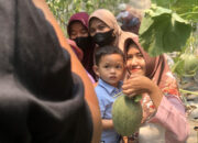Petani Makin Terbantu, Inovasi TMU Dapat Pengakuan dari Bappedalitbang Kabupaten Tegal