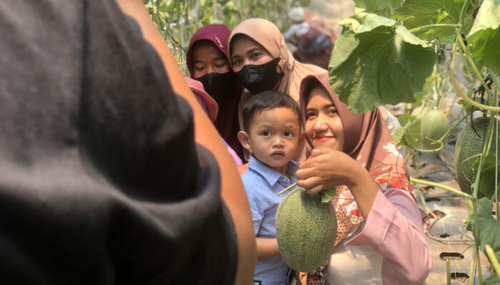 Petani Makin Terbantu, Inovasi TMU Dapat Pengakuan dari Bappedalitbang Kabupaten Tegal